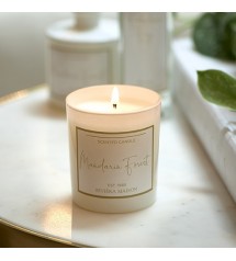 RM Mandarin Forest Scented Candle