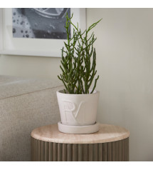 RM Monogram Planter M